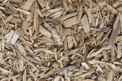 biomass boilers Foxbar